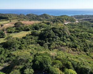 Marketing Matters - Land Shots