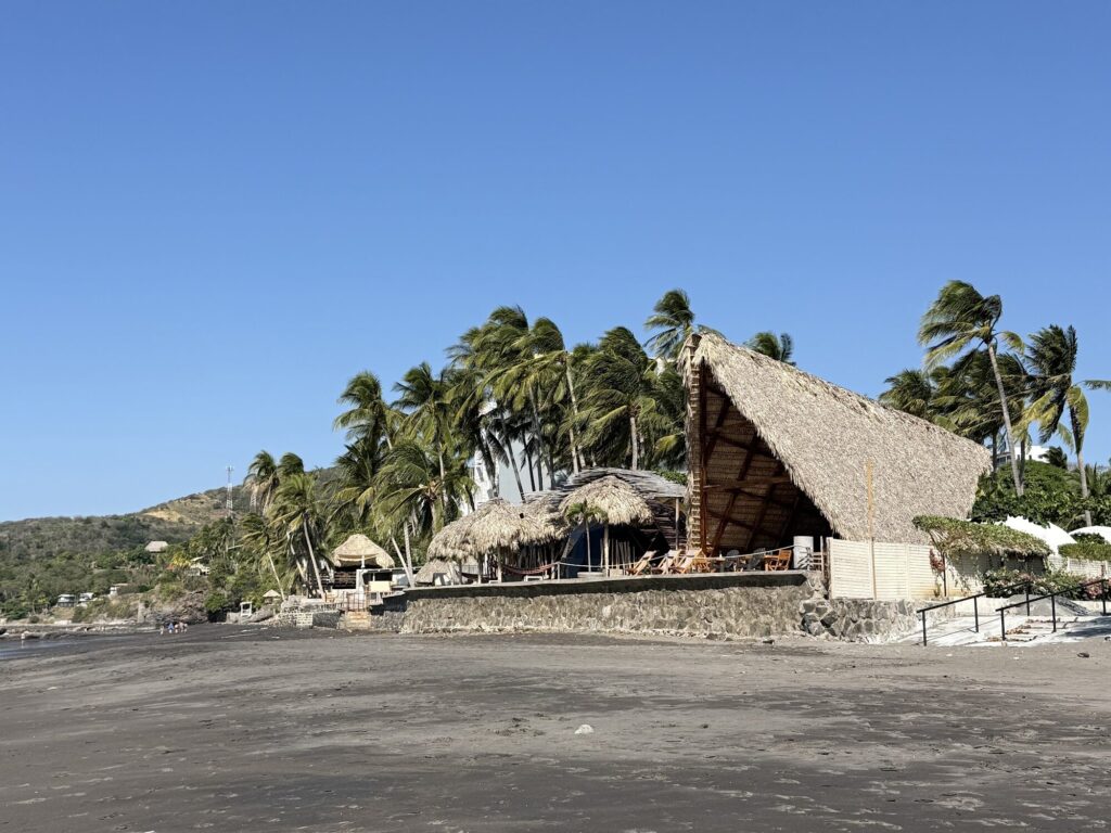 Palm trees and a thatched palapa on a black sand beach in El Salvador