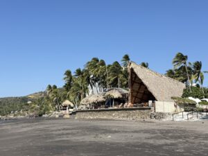 Palm trees and a thatched palapa on a black sand beach in El Salvador